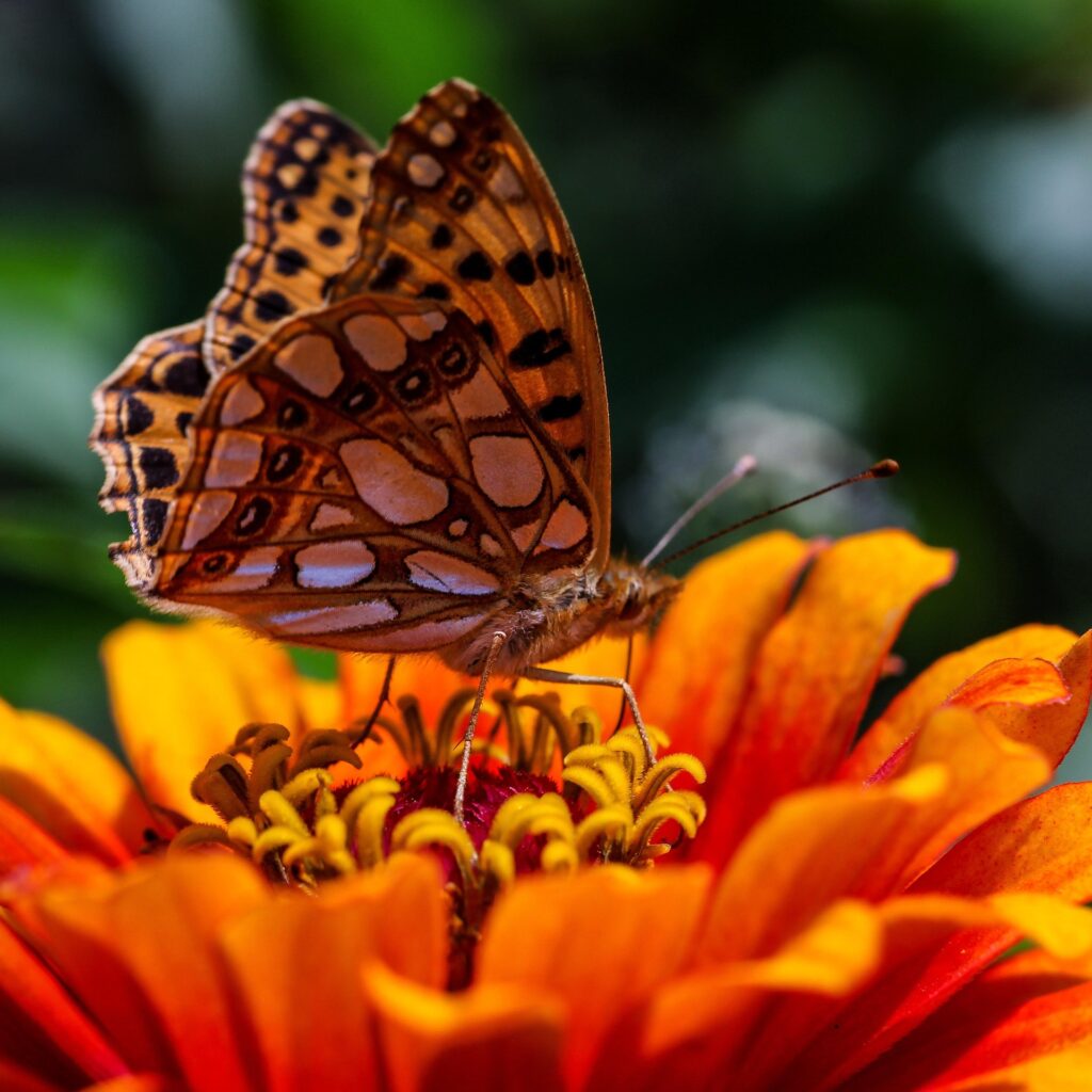 autotransformación, superación, formación del caracter